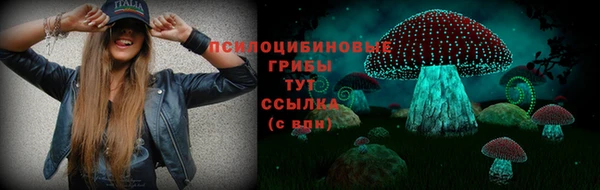 Альфа ПВП Беломорск