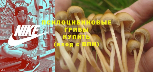 Альфа ПВП Беломорск