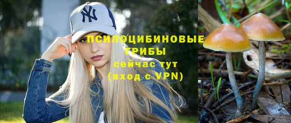 МДПВ Балахна